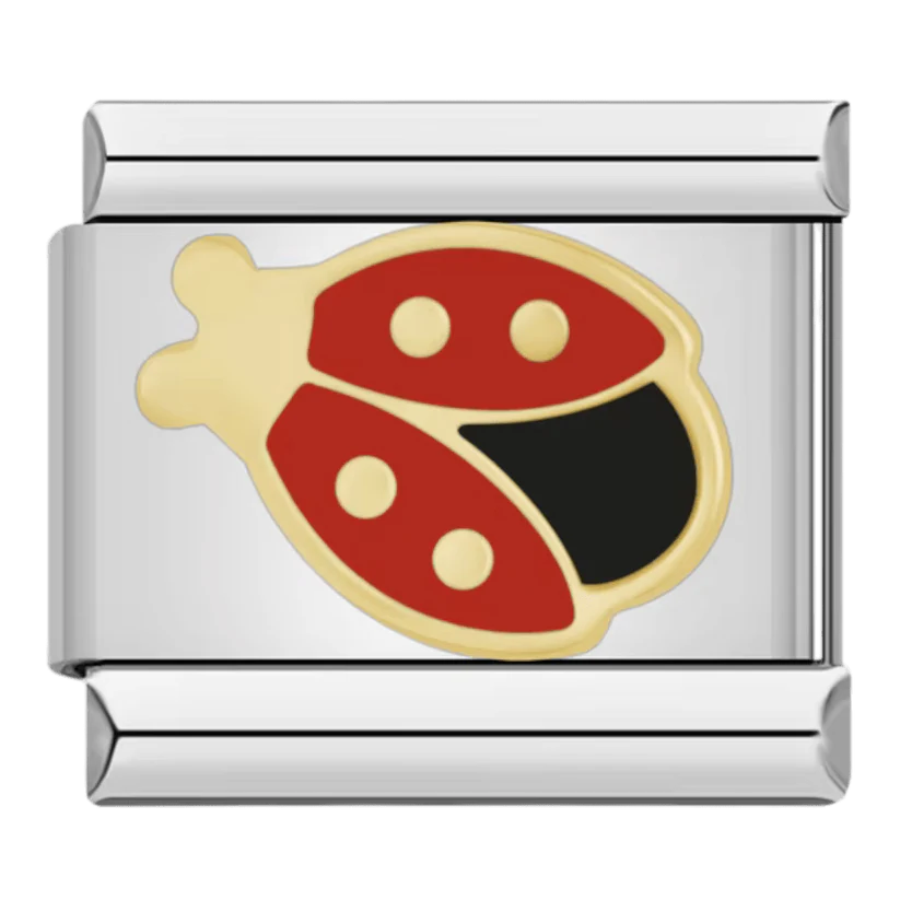 Coccinelle