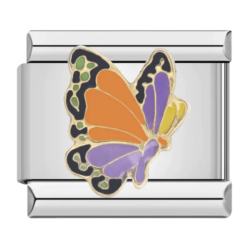 Papillon Coloré