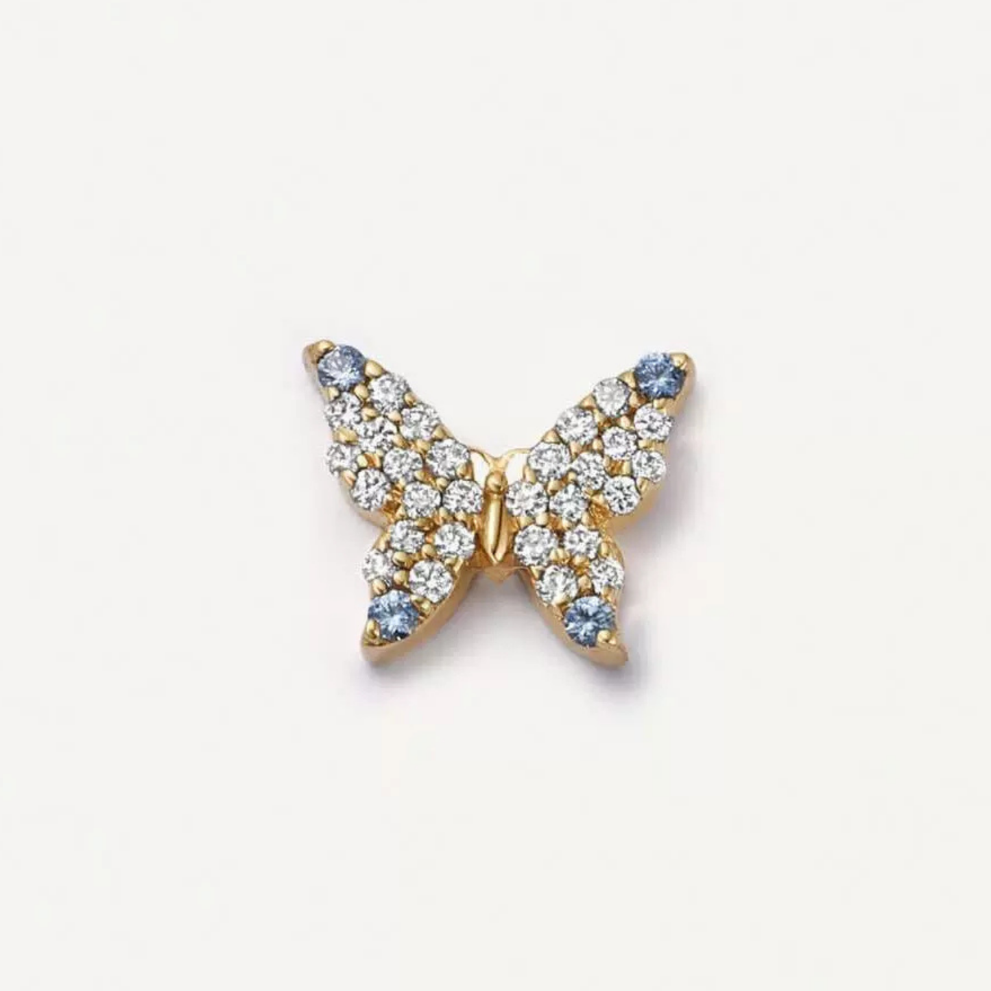 Papillon