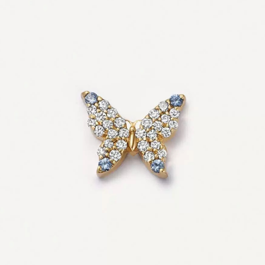 Papillon