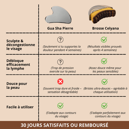 Brosse Lymphatique Celyana™