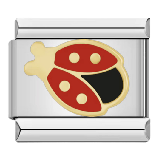 Coccinelle