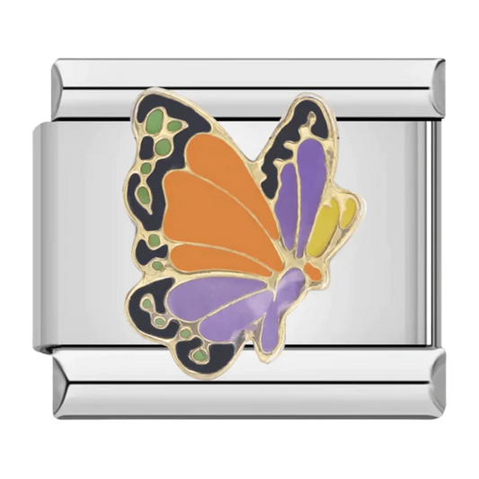 Papillon Coloré
