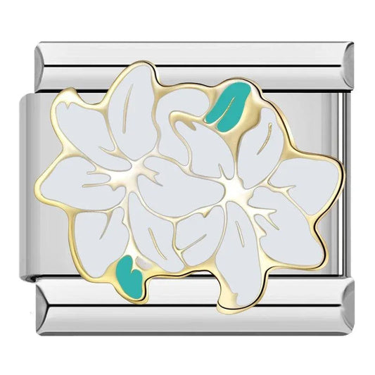 Fleurs Blanches